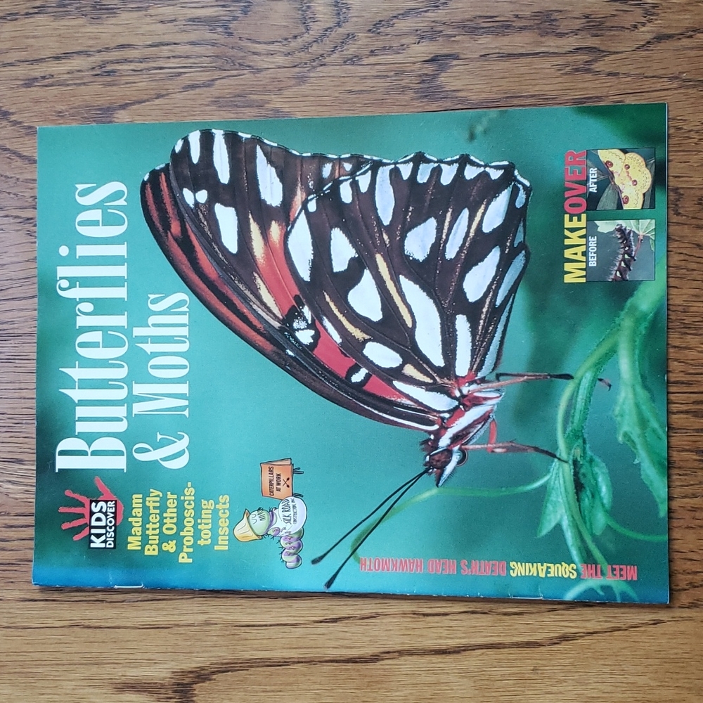 Vintage Y2K Kids Discover Magazine Butterflies And Moths Volume 11 Issue 7